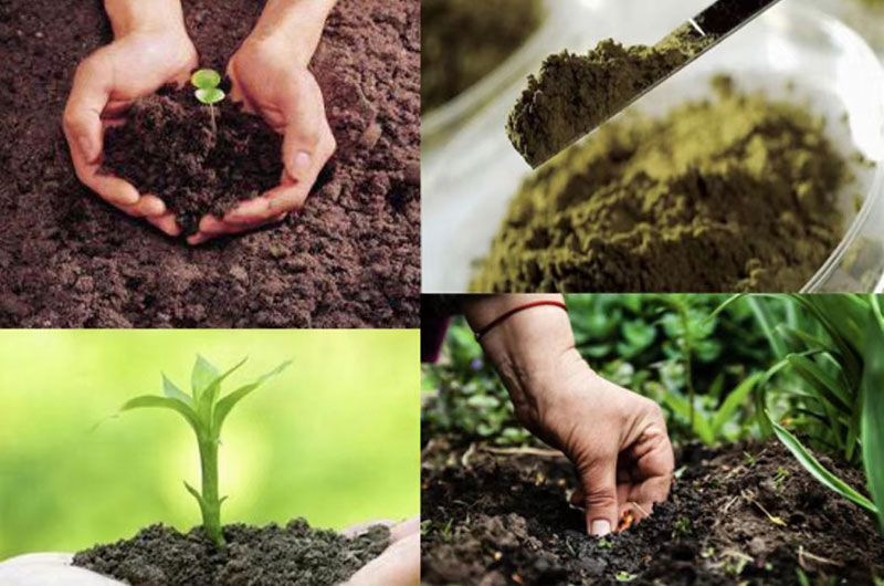 現(xiàn)場(chǎng)照片